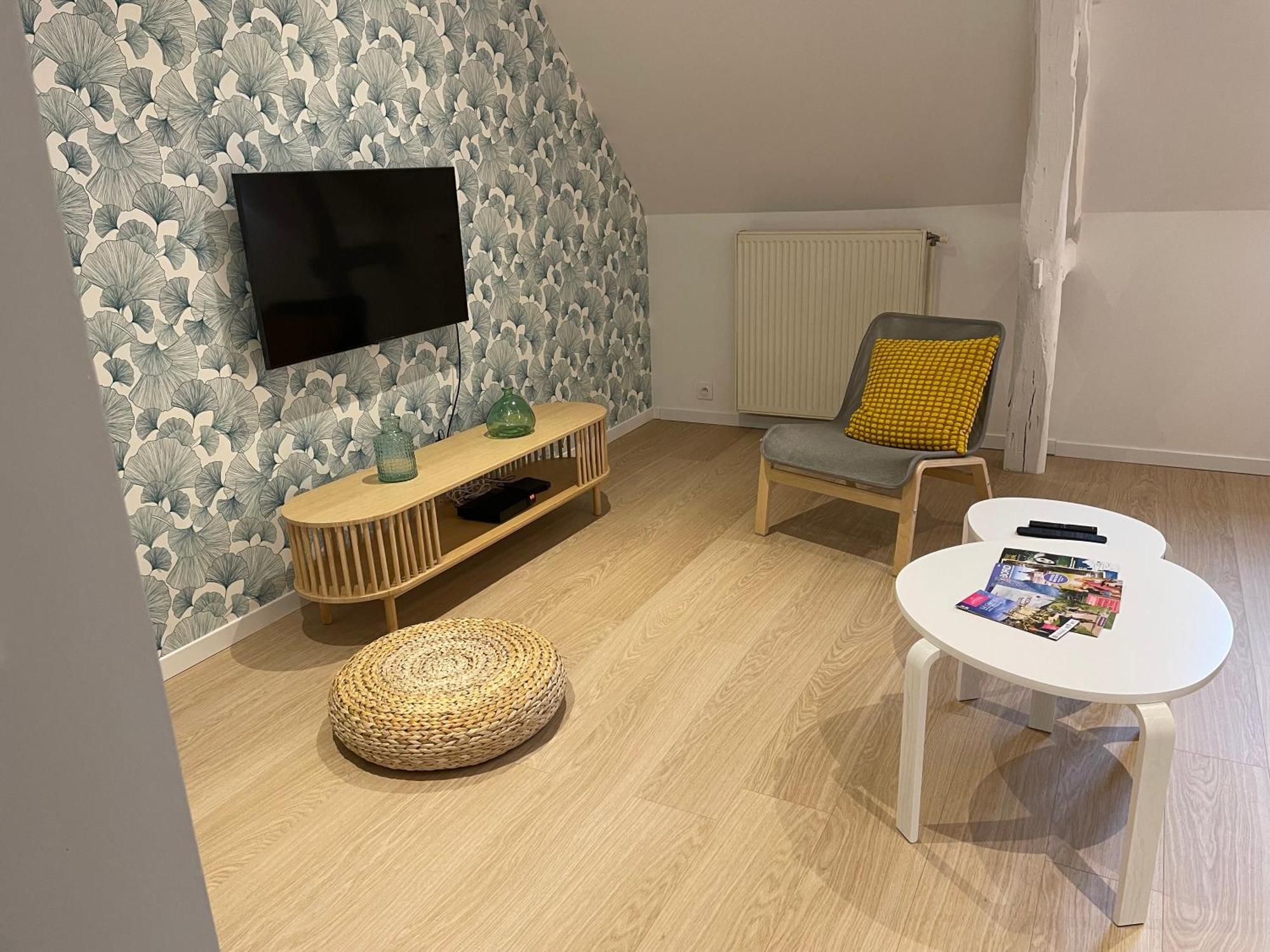 Family Loft A 5Minutes Du Zooparc De Beauval Villa Châteauvieux Екстериор снимка